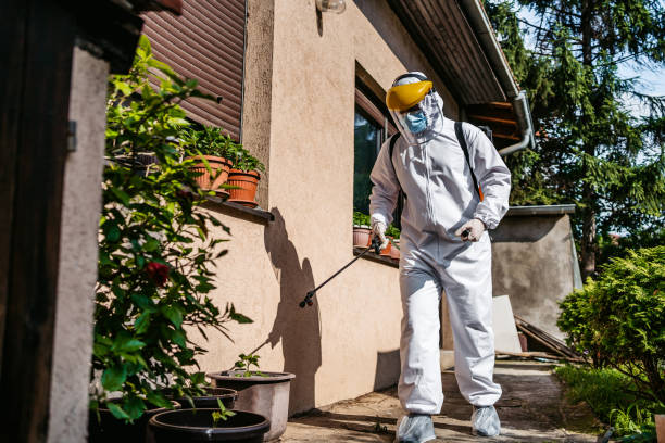 Best Rat Extermination Near Me  in Wheat Ridge, CO
