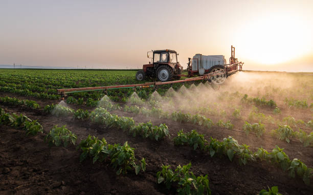 Best Pest Removal Services  in Wheat Ridge, CO