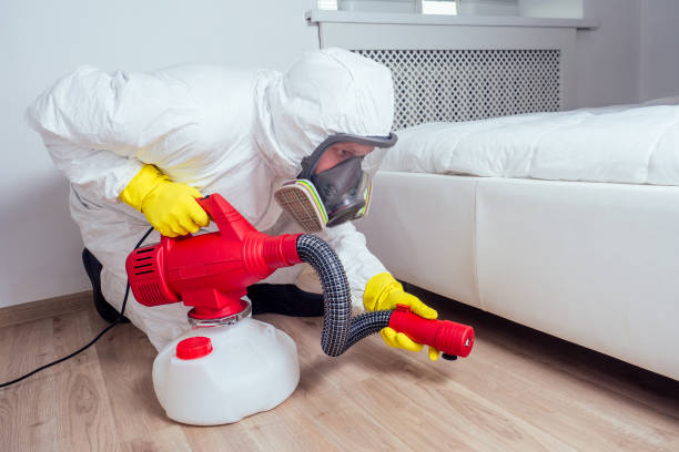 Best Flea Control Services  in Wheat Ridge, CO