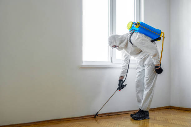 Best Mosquito Control Services  in Wheat Ridge, CO