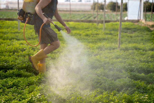 Wheat Ridge, CO Pest Control Company