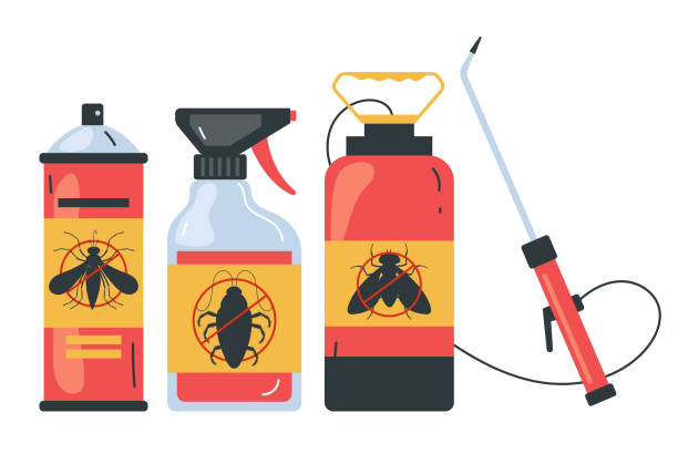 Best Affordable Pest Control Services  in Wheat Ridge, CO