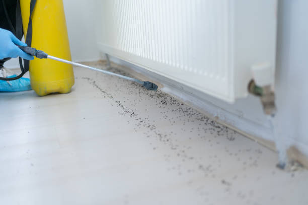 Pest Control Cost in Wheat Ridge, CO
